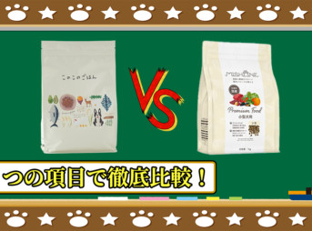 このこのごはんとミシュワン小型犬用を５つの項目で徹底比較